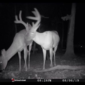 Meet your Posher, Derik